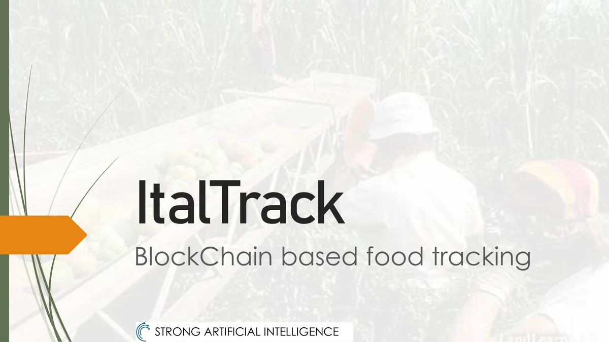 ItalTrack overview