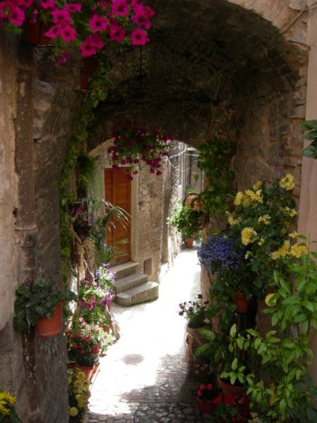 18z_spello