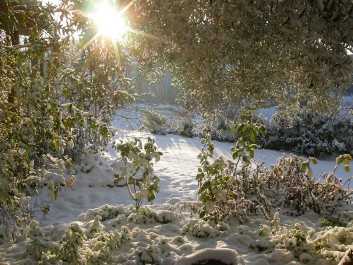32inverno2_jpg