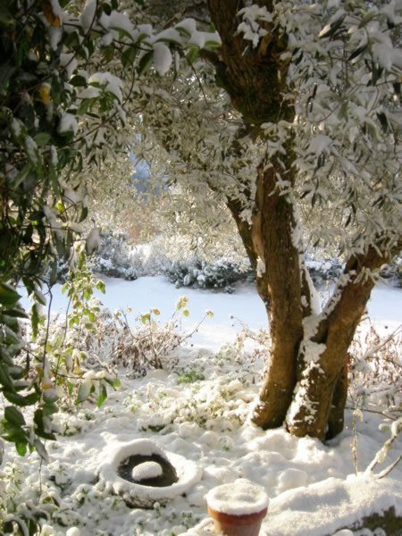 33inverno3_jpg